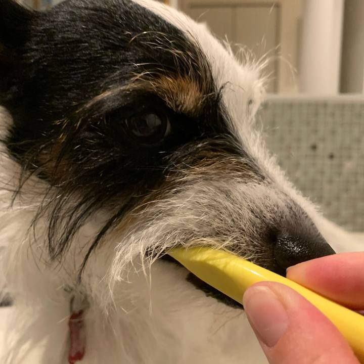 05eb4604 2d4c 454e a0dc e72711f00a2c 1681907748962