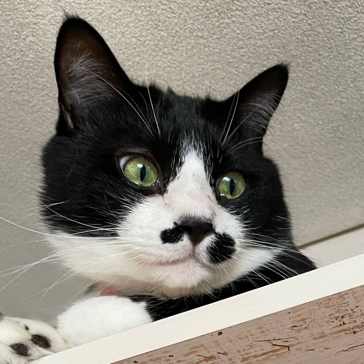 05eb5dbc d1db 430d 99ab df3fb8458bd7 1746925882701