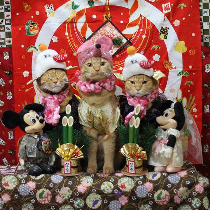 05eb5e6d 2333 4166 8eb2 d6f1db728c81 1577806209176