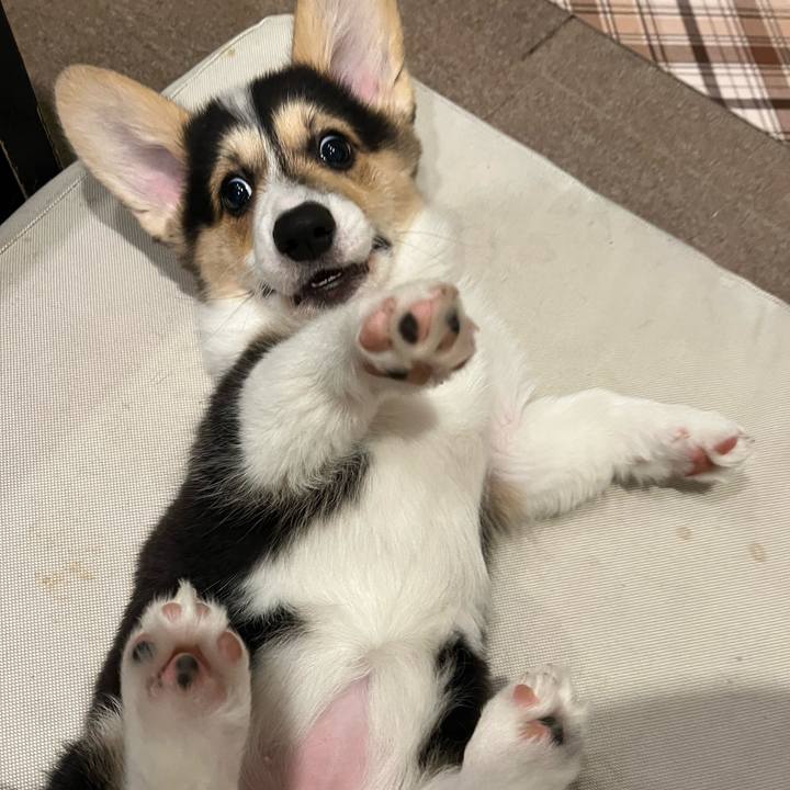 05eba309 f3e8 4579 8b22 b556d13121dc 1771413118757