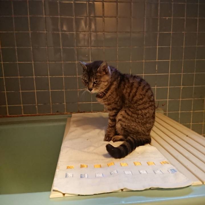 05ebc692 ae54 4e24 8490 038a7e30f725 1591956624904