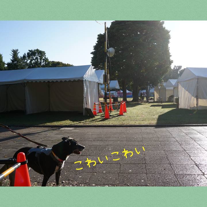 05ebd1ca 8fa0 4e53 9ae2 0368bd1fd636 1762131609645