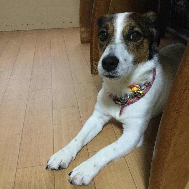 05ec19af 0fb9 4e2f 951d 5b92f0f58c26 1528615999093