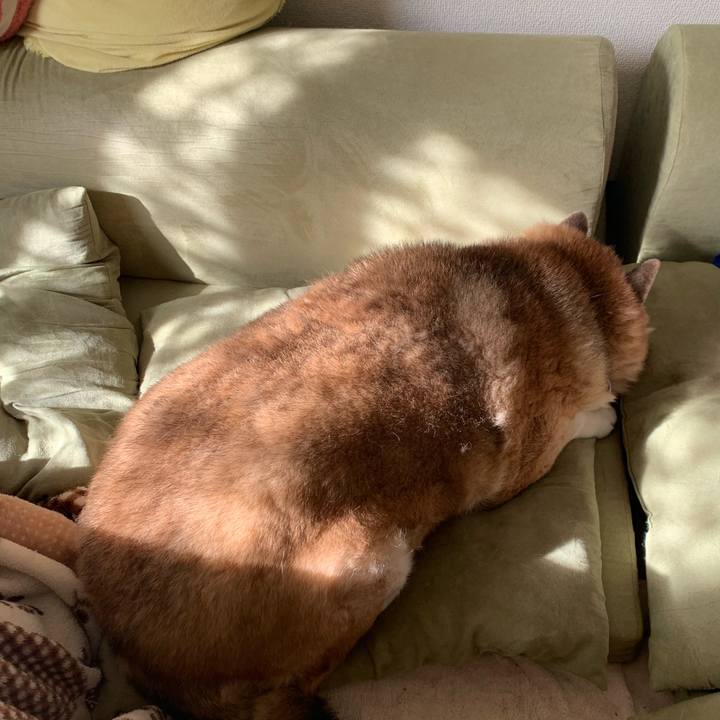 05ec1a94 27ea 4f19 9eed 9db68df871bf 1615457878712