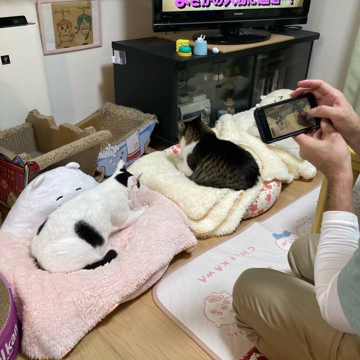 05ec1d79 d06b 4d61 8cac ab6038e426c2 1760700336779