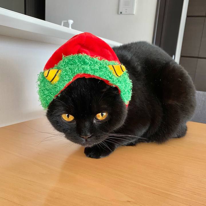 05ec1db3 ed8f 4868 a6b9 5e96d3ff30bc 1612234593618