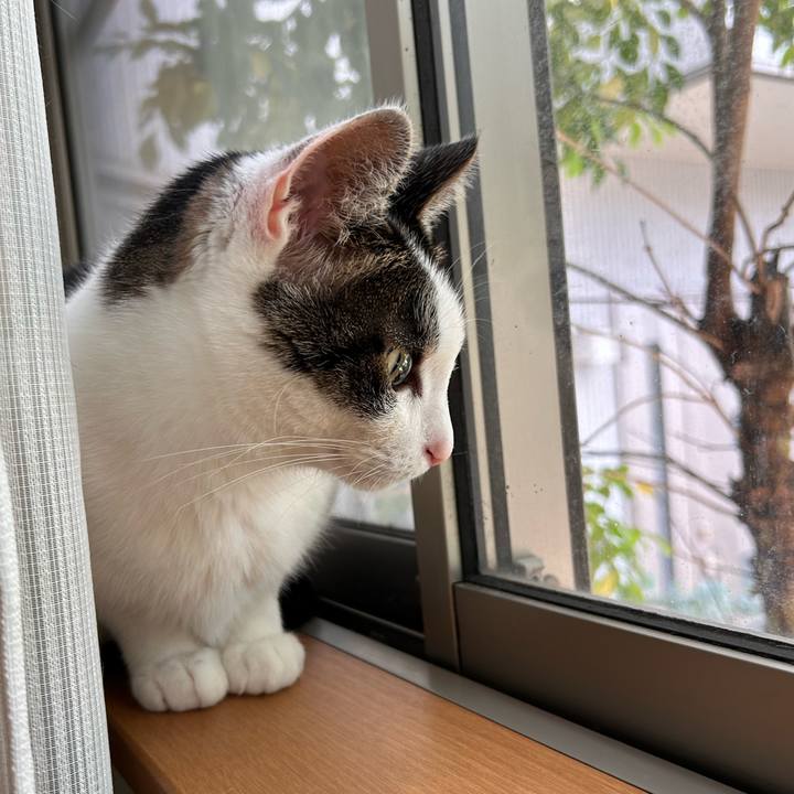 05ec5491 c84a 421e aea0 a7d2c3c083d5 1747875264591