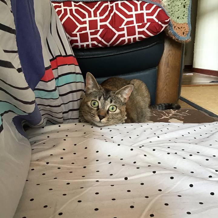 05ec66e1 ddb2 4b3f 8503 6f6068e7d8d2 1589768205354