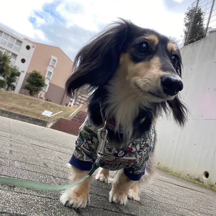 05ec91d7 d405 4028 a649 82e22a3c971d 1766815913340