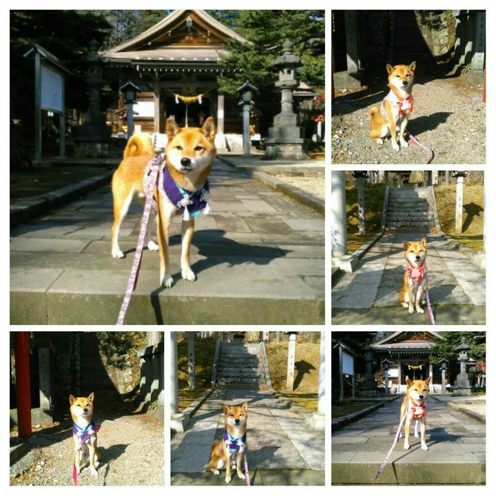 05ecaf1c 56d6 4ef9 81eb 42f8c5a7af7a 1510622695373