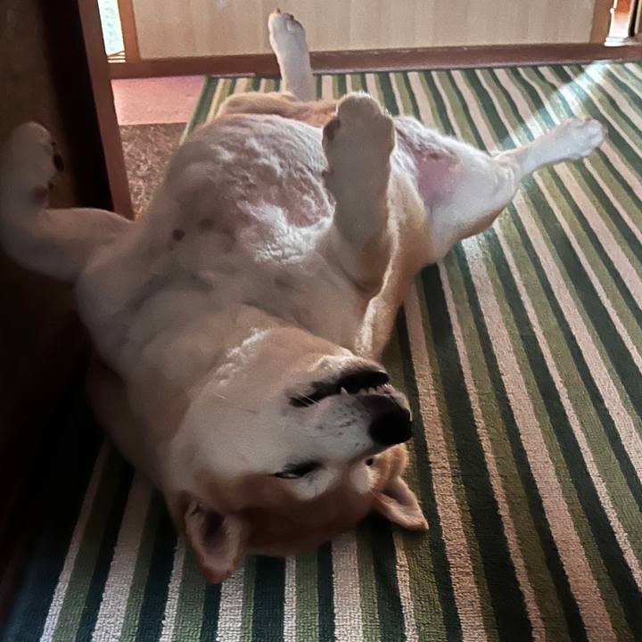 05ece12b 0996 475c b0cb 360fd3a44e09 1721966636753