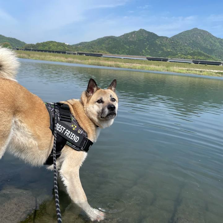 05ecee99 31c0 4659 8588 2440582c213b 1714298084604