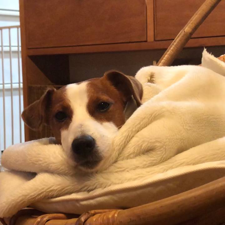 05ecf45c 64ea 4d54 ba48 5bddd3d434cb 1553081150579