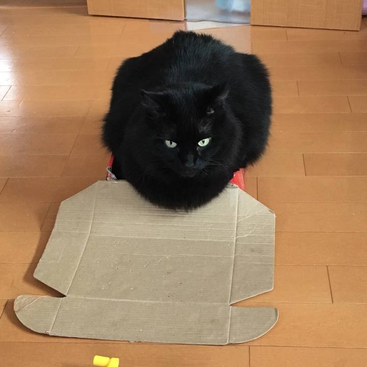 05ecf6d4 eaa3 4cbf a0c7 0131f0f51fde 1516577485071