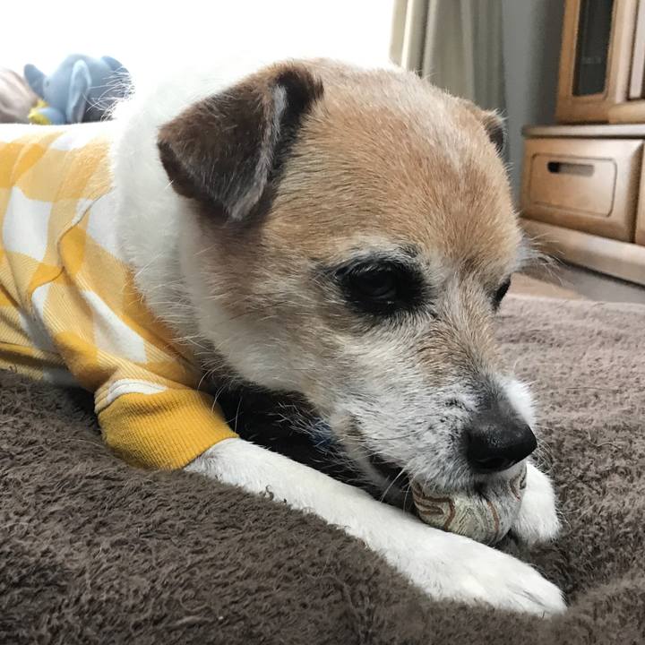 05ecfeed 2a41 4a98 84ae 0f9e0080a573 1638261312736