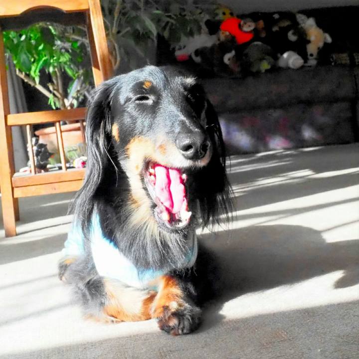 05ed0b1f 66a3 45bc aa12 0c6ba11b74c2 1545108290030