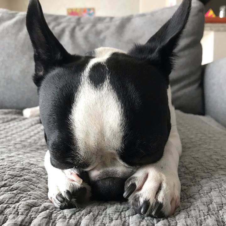 05ed4831 2d7e 455f 9eb2 3b8e08512d91 1601623182329