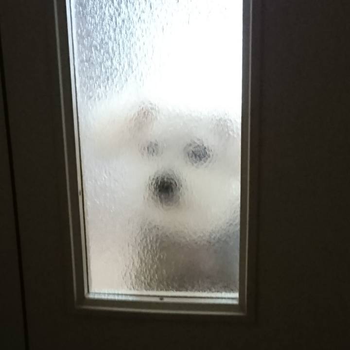 05ed7f3c bcf6 4e18 b88e eec453806632 1614261033446