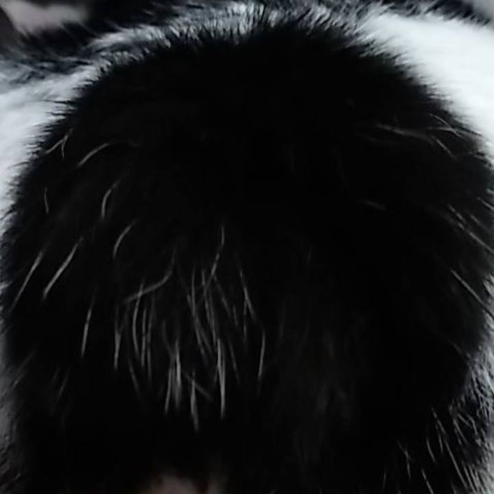 05ed8f9c a84f 48ed 88de a25302c104a1 1558094698923