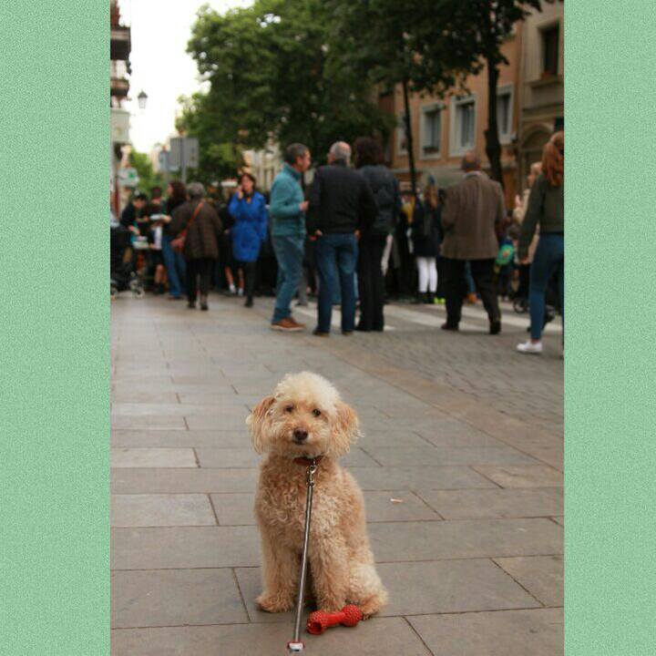 05eda220 0eb8 4fbc 8ad0 0f9dd68e8158 1556054165236