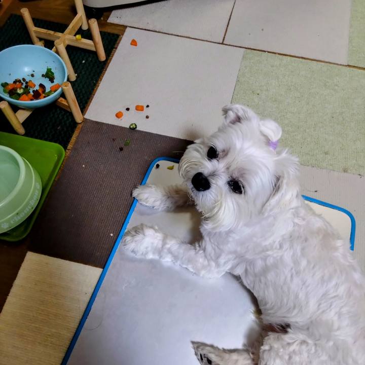 05eda9cc f81a 472e b2bb 5f95cef04268 1695649167067