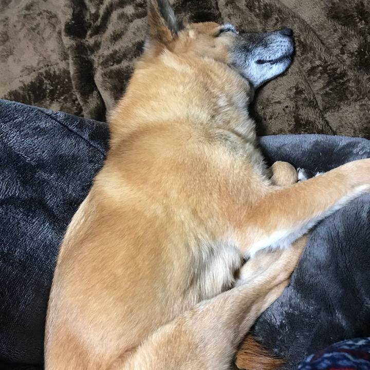 05edb53b 4acb 464d 83ad 873d8f1fba57 1517138217255