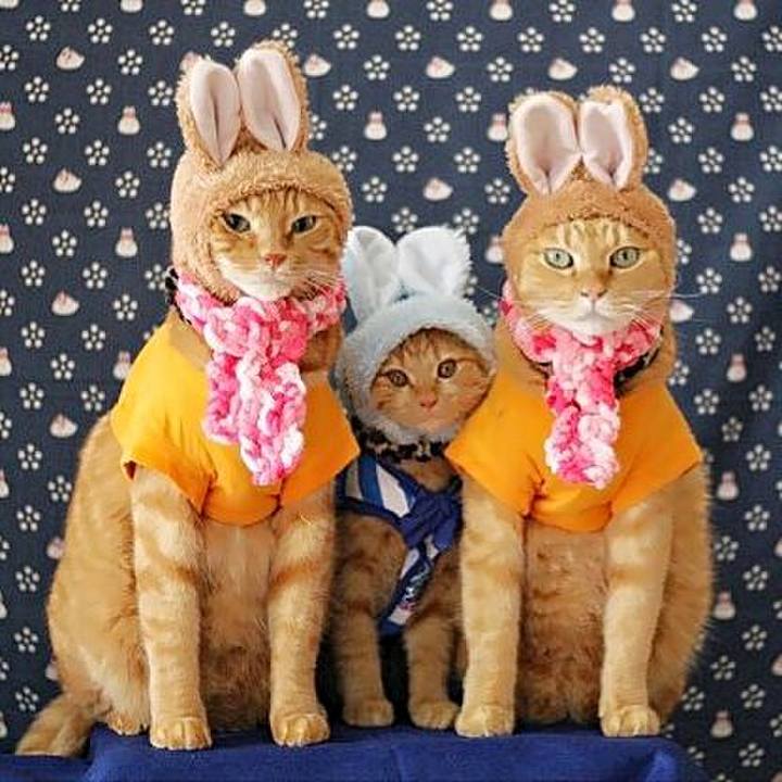 05edd5be 76e1 4894 a433 c452c9a09d12 1630052053131