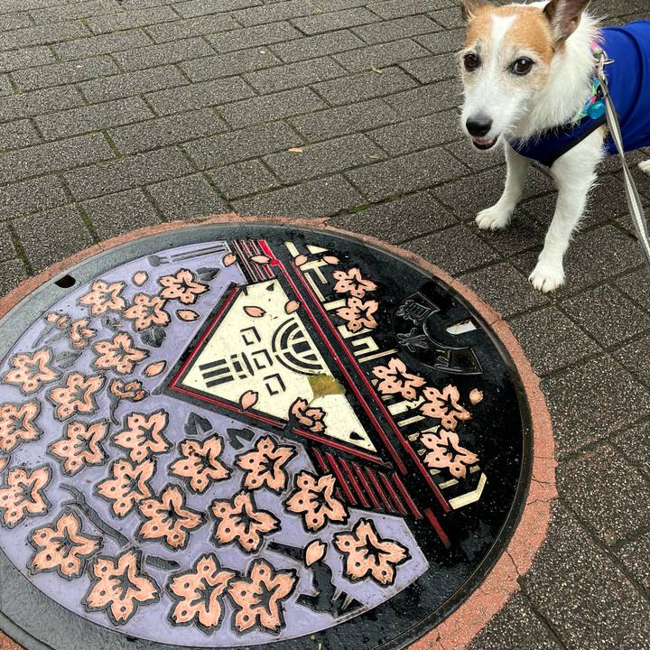 05eddde7 68b3 4890 bf22 1b8d0e1556e2 1663980675740