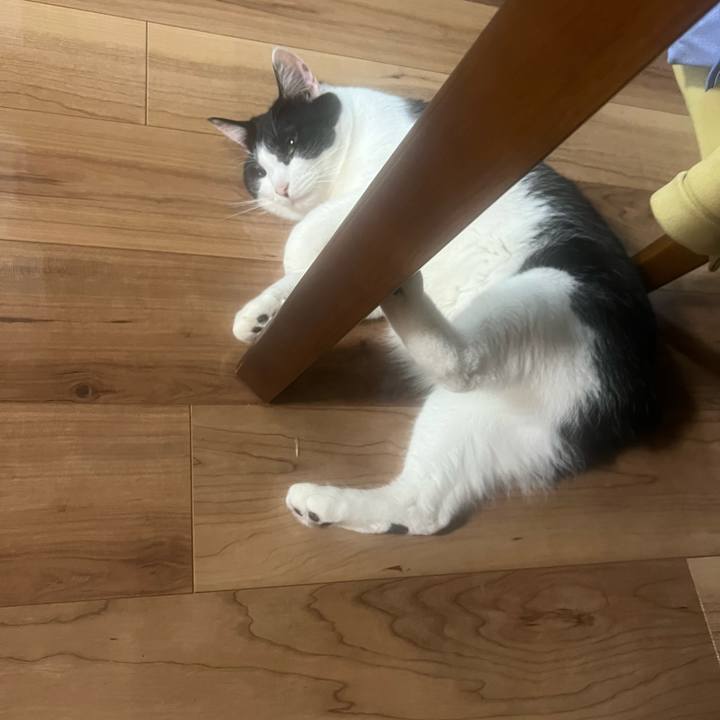 05ede325 daa6 4365 9c20 b17e88673395 1655478698668