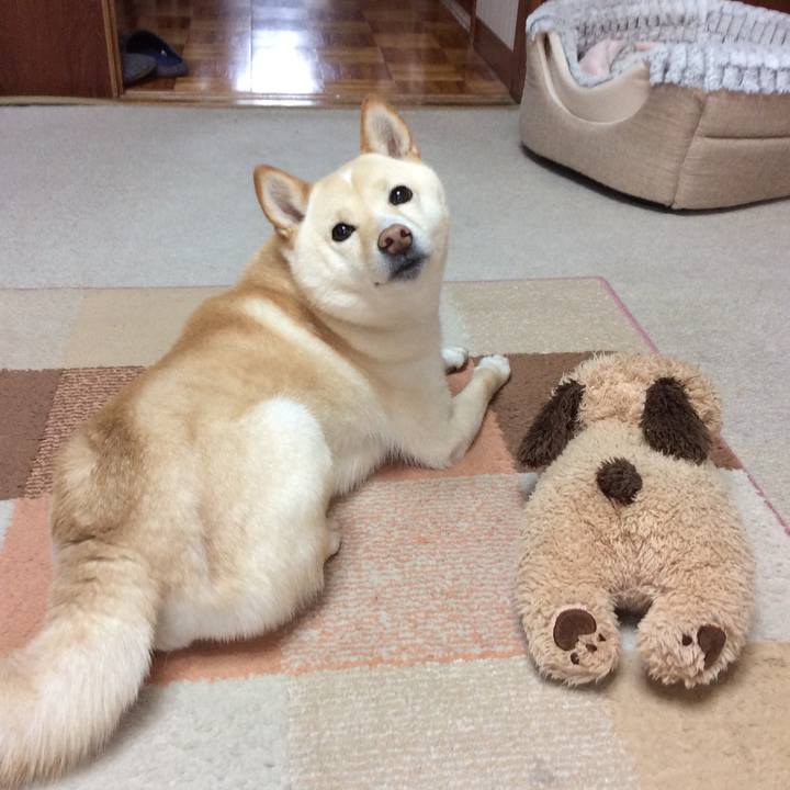 05ee0b7c 8b01 42a8 8521 a4ec4ef0b1c8 1587445786191