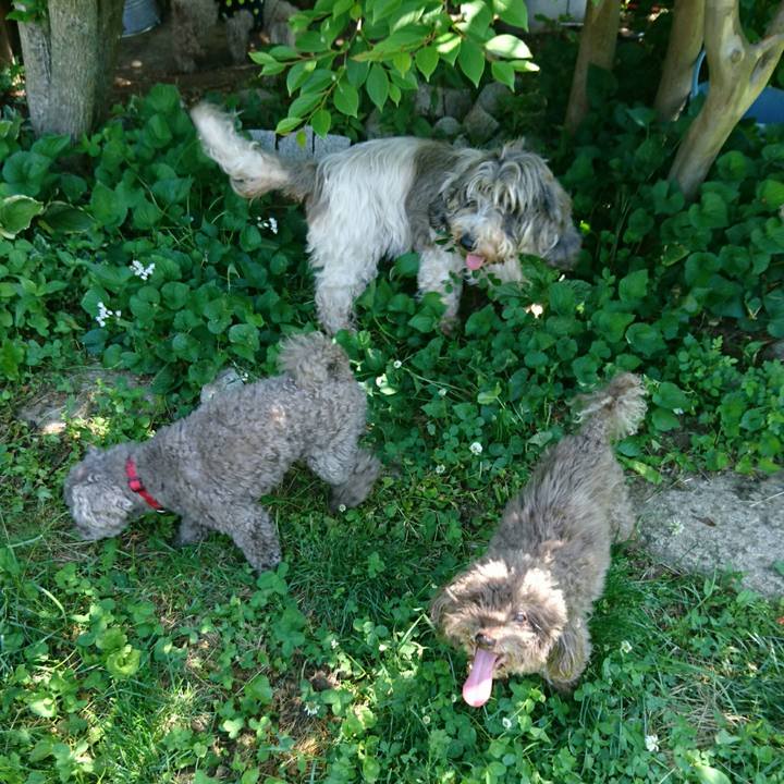 05ee11c0 e580 4aa5 be96 f9dbc43afec4 1527990207622