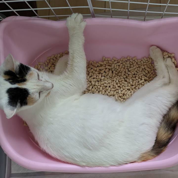 05ee1bc0 9d0c 46e1 8467 b9227fd79209 1719715026425