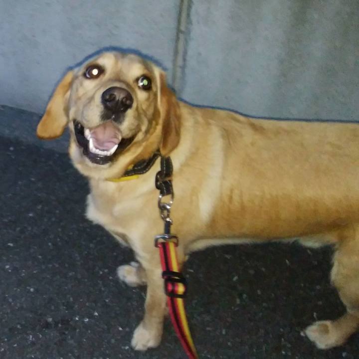 05ee2626 0a44 46c6 9d30 665d25fdbe37 1526679585650