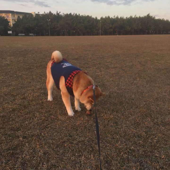 05ee2bff 55cc 441a 9bf7 ea1fd8349dac 1545382142982