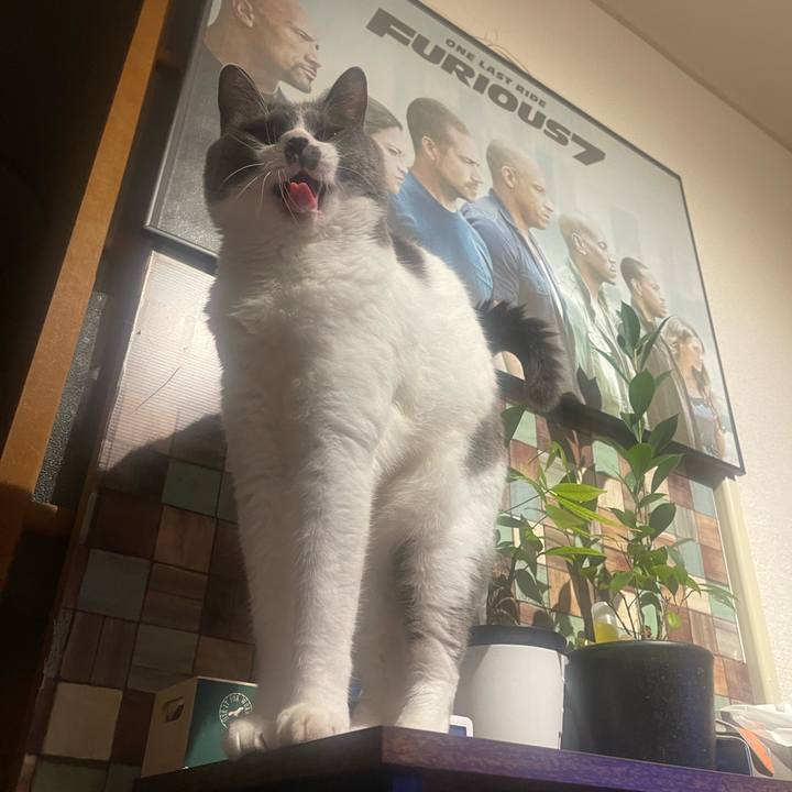 05ee6a40 0dd1 49ca addb 4cfe7909190c 1730736192225