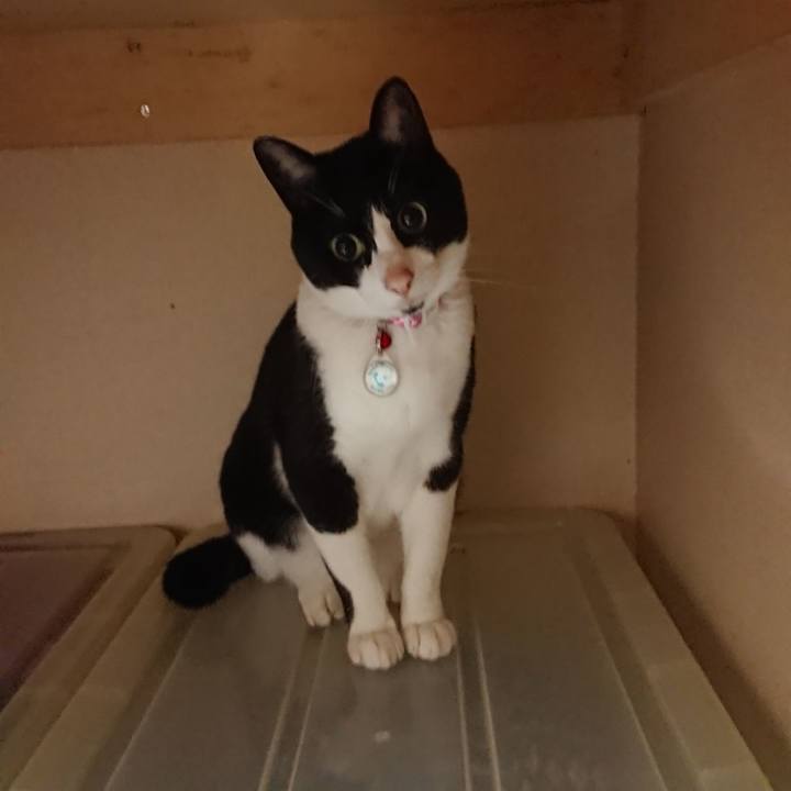 05ee8544 c0be 4077 8418 7dacd03eea05 1614991168454