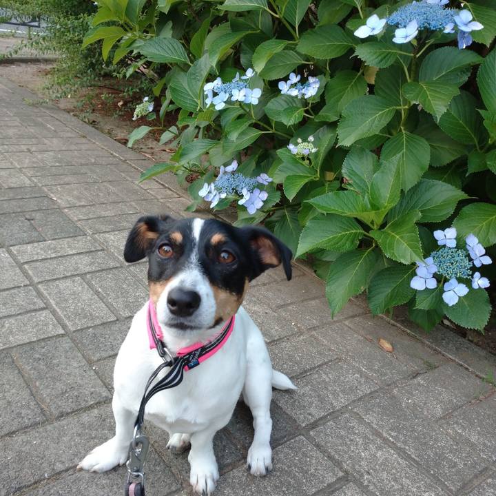 05eeac23 4efb 4b7f 9584 d8480044790c 1622466314605