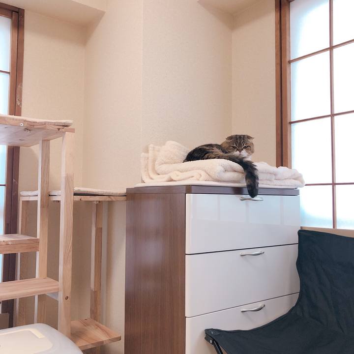 05eeac66 361b 476d a883 3bb331237a8a 1614462830513