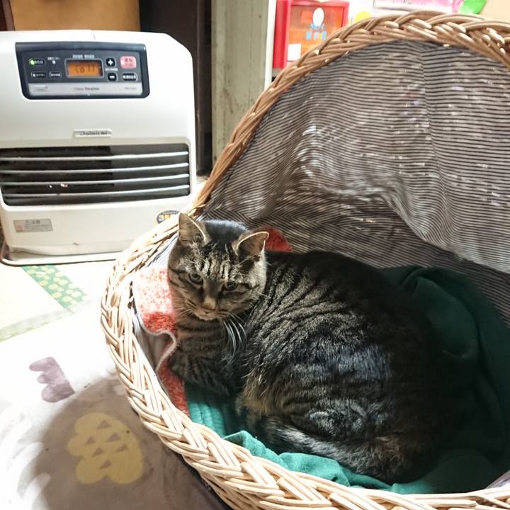 05ef2655 4999 4c41 973f 5df1fa61ca39 1640255924264