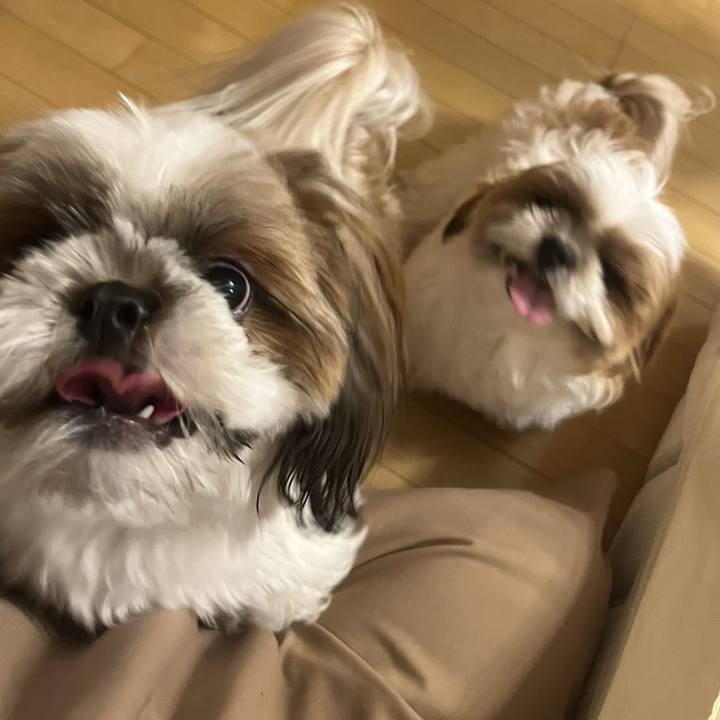 05ef382e 201c 49e3 92c6 585dea45a695 1685186792451