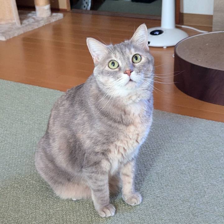 05ef5872 afbb 4eec 84f7 8670e8e2a16d 1729474669709