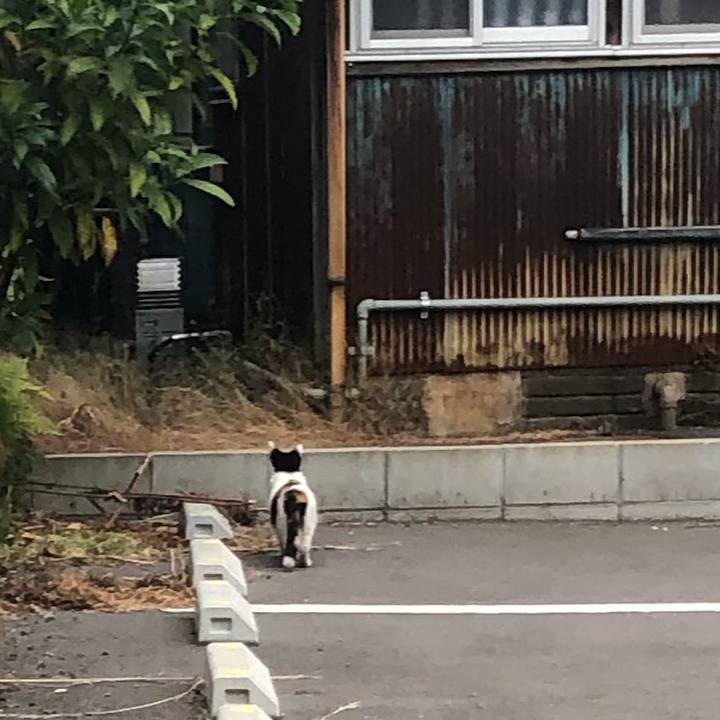 05ef8f4d 936f 44f5 a202 b0774d3c57a9 1603923789282