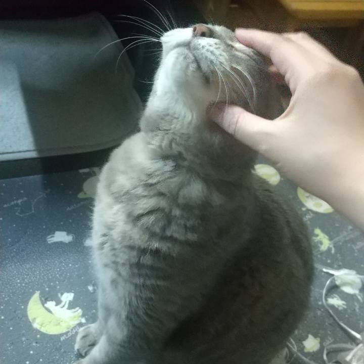 05efa8dd a254 4ca2 ae62 57cc4fb1d294 1652387275947