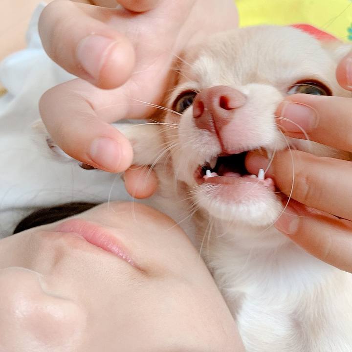 05efd8b4 d68d 4832 9630 296d8f32eb91 1597288274685