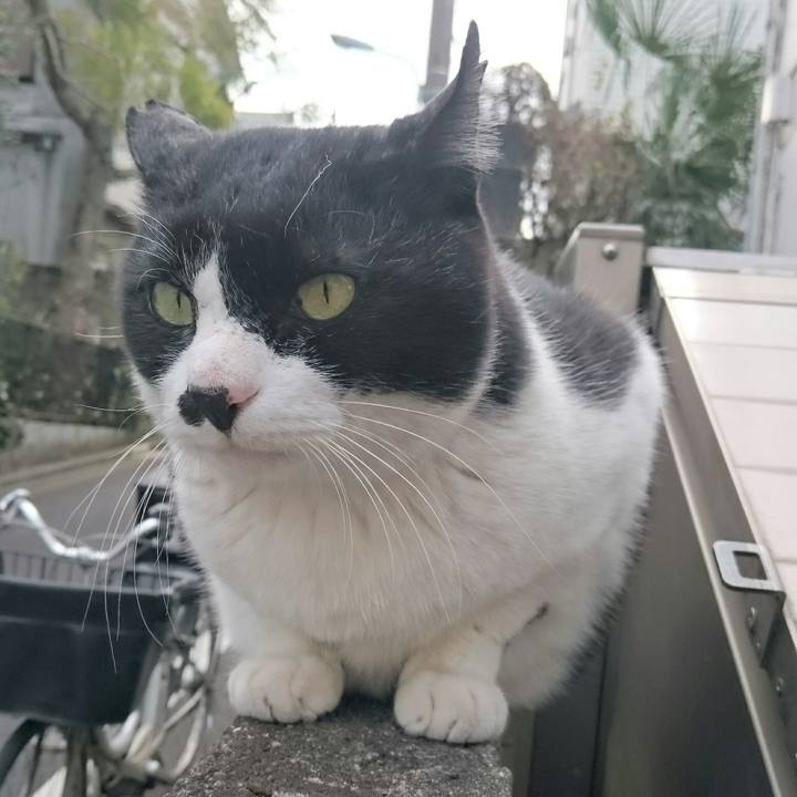 05efde1c e402 441d 8434 2473e6b17cf0 1517287024169