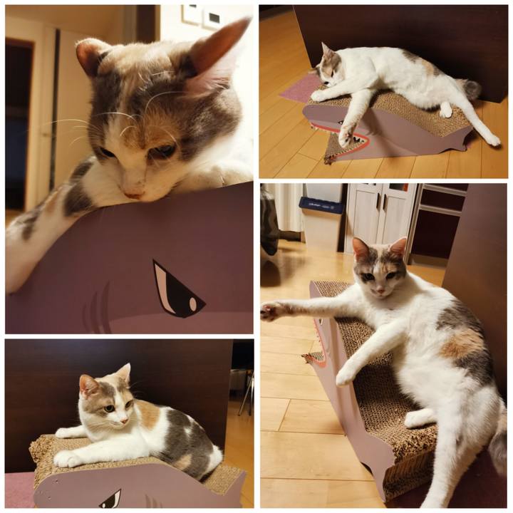 05f0320b 8c05 4d40 b335 ef523d6c7559 1675052748945