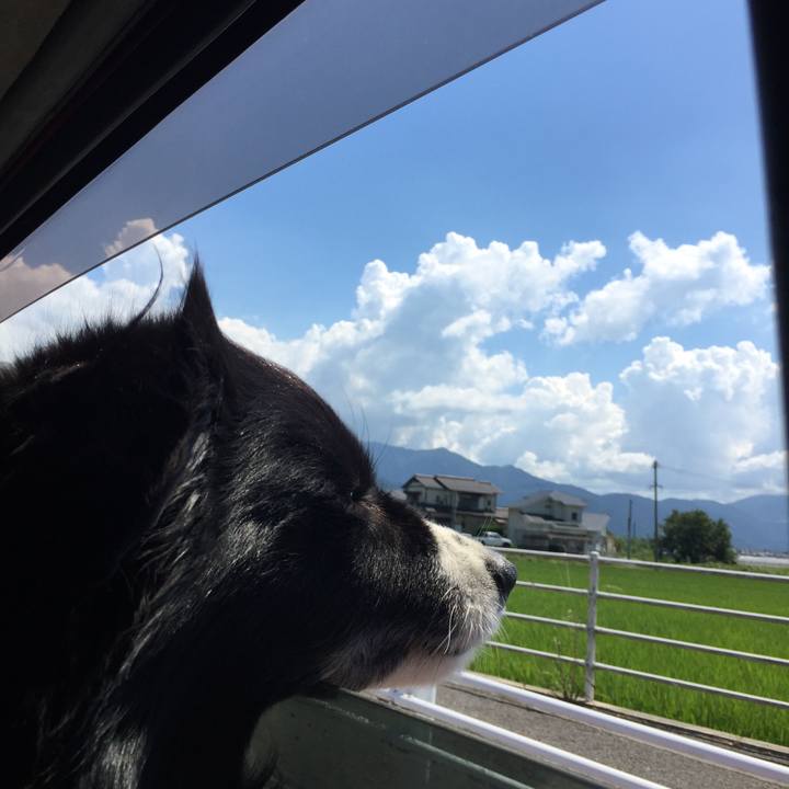 05f04333 4b89 4660 acf5 372740765c62 1534137026221