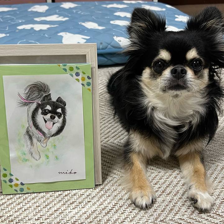 05f04864 942d 419c 81c1 ea5a53d50153 1686176227663