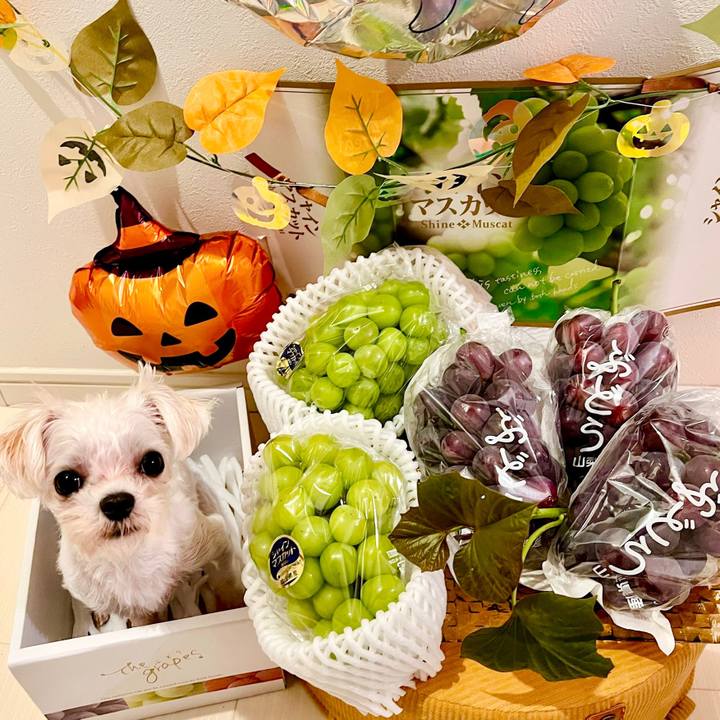 05f05eba 8879 4140 8fa2 6adadb01c496 1665039699179