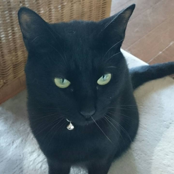 05f07d91 c7ce 4dc6 96fa f18e12e03b55 1523317125355